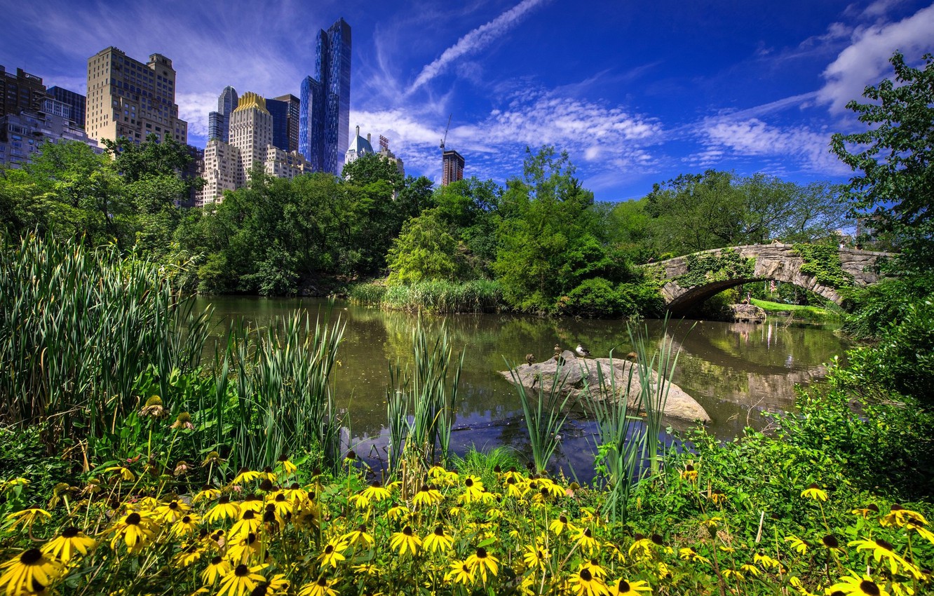 gapstow-bridge-in-central-park-new-york-city-gapstow-bridge.jpg