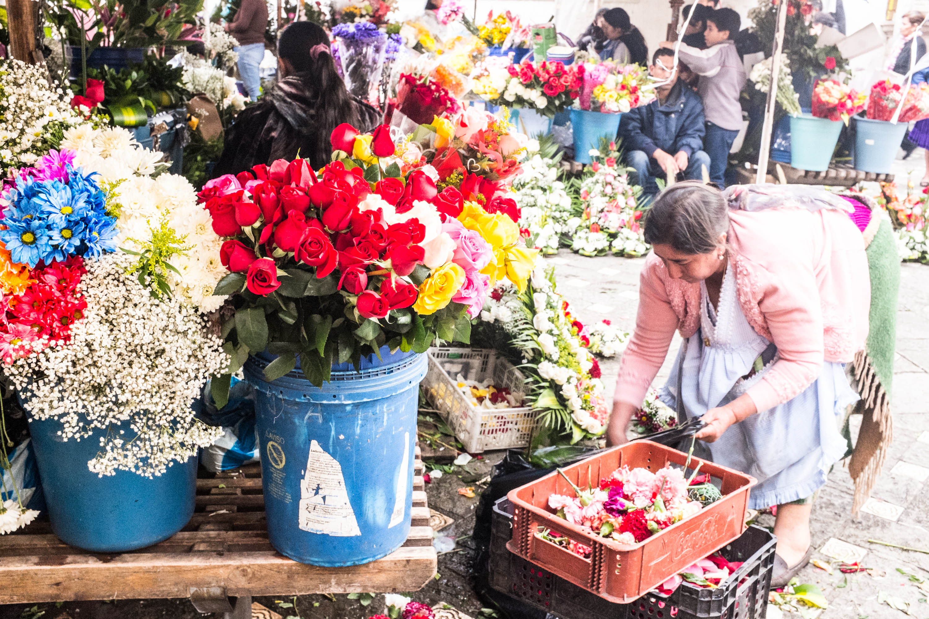 10-Best-Snapshots-From-Ecuador-cuenca-flower-market.jpg