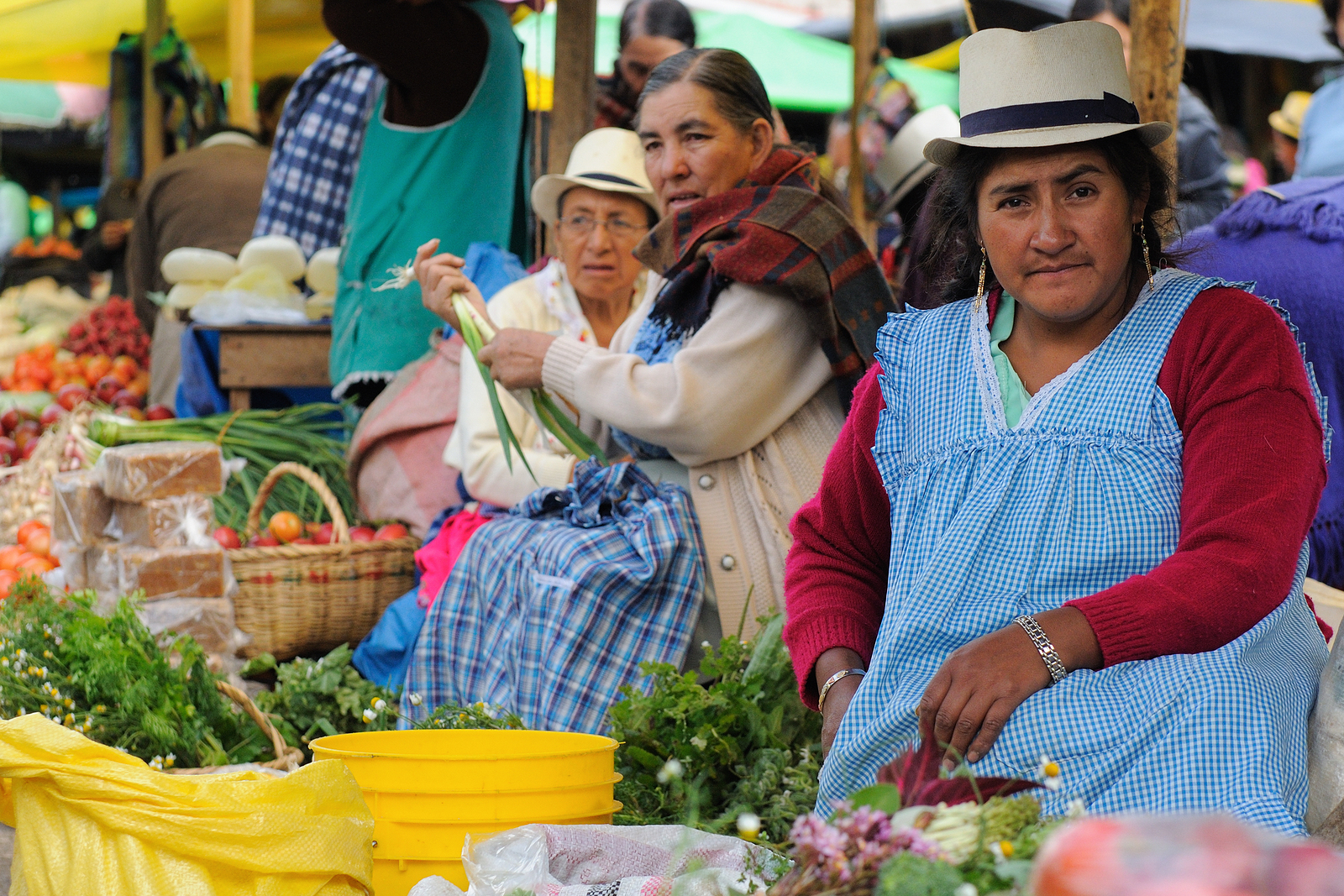 indigenous-ecuador-ladies-at-market.jpg